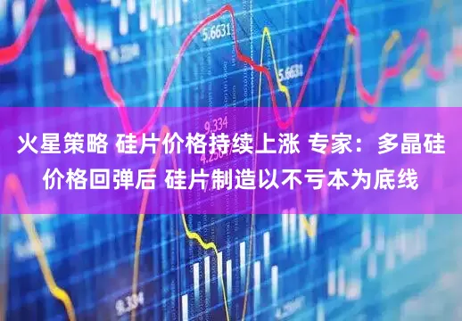 火星策略 硅片价格持续上涨 专家：多晶硅价格回弹后 硅片制造以不亏本为底线